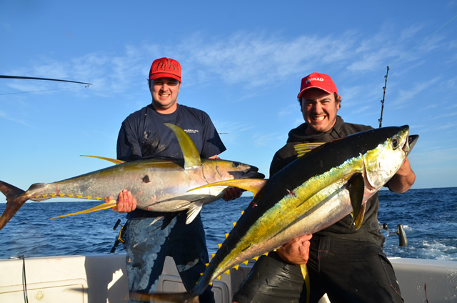 ANGLER: Mike Bonnici, Jay Bardon  SPECIES: Yellow Fin Tuna - Double Hook Up,  WEIGHT: Both 30 - 35kg est. LURE: JB Lures, Micro Dingo - Lumo, Little Dingo - Evil.